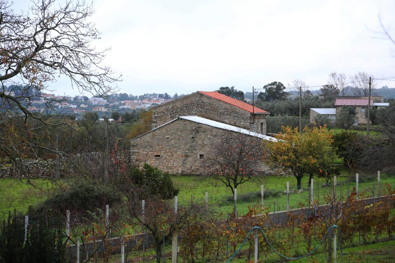 Casa D'Avo Serra Da Estrela Seia Ngoại thất bức ảnh