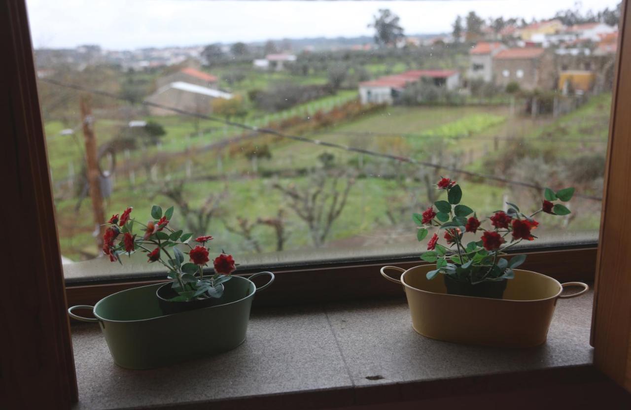 Casa D'Avo Serra Da Estrela Seia Ngoại thất bức ảnh