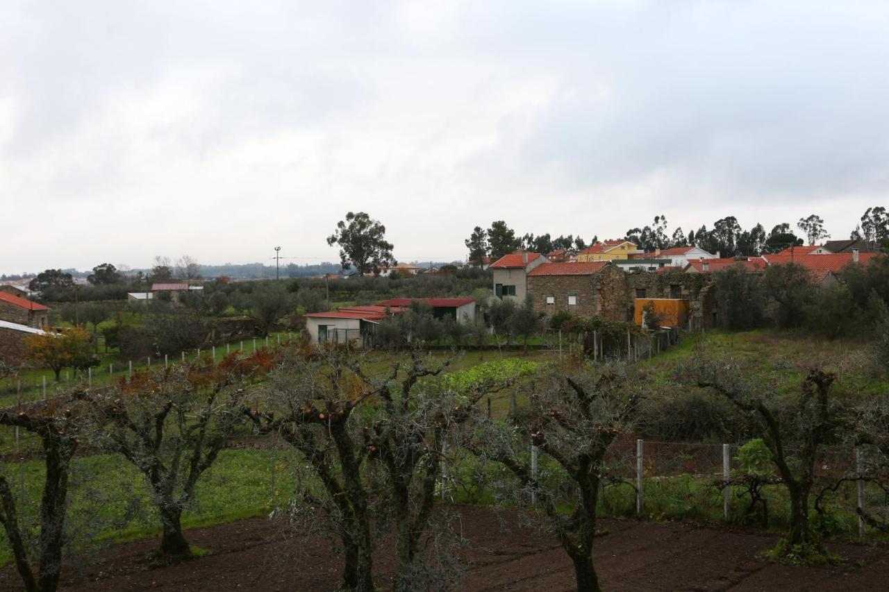 Casa D'Avo Serra Da Estrela Seia Ngoại thất bức ảnh